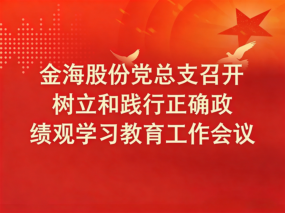 Jinhai Group Party Branch held a conference on establishing and practicing the correct view of political achievements through learning and education